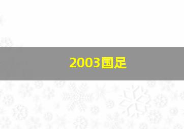 2003国足