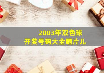 2003年双色球开奖号码大全晒片儿