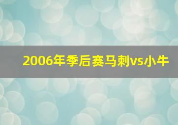 2006年季后赛马刺vs小牛