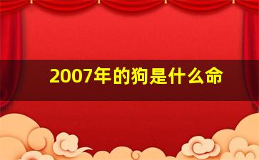 2007年的狗是什么命