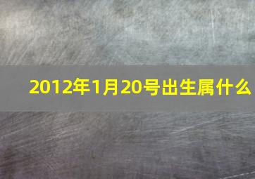 2012年1月20号出生属什么