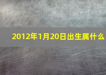 2012年1月20日出生属什么