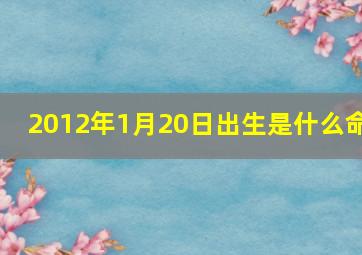 2012年1月20日出生是什么命