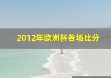 2012年欧洲杯各场比分