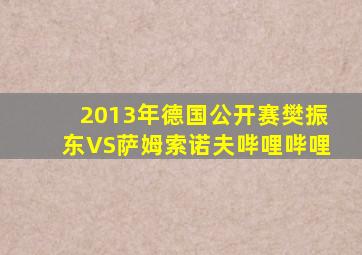 2013年德国公开赛樊振东VS萨姆索诺夫哔哩哔哩