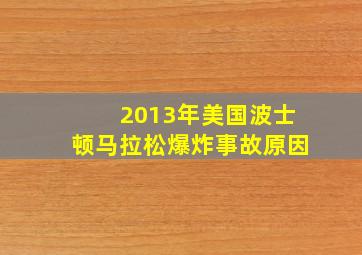 2013年美国波士顿马拉松爆炸事故原因