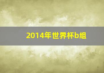 2014年世界杯b组