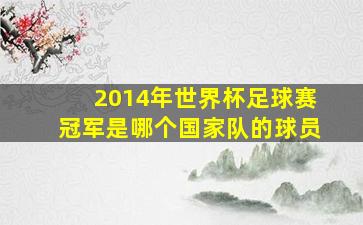 2014年世界杯足球赛冠军是哪个国家队的球员