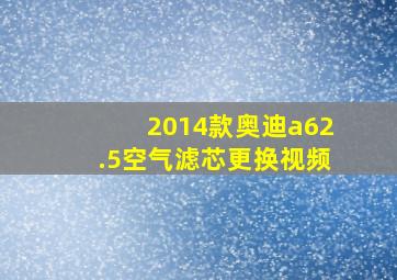 2014款奥迪a62.5空气滤芯更换视频