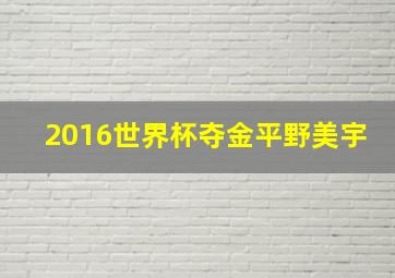 2016世界杯夺金平野美宇