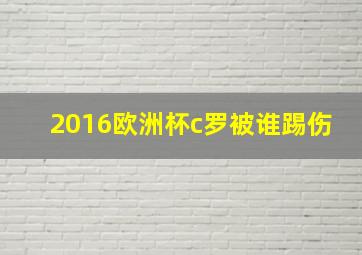 2016欧洲杯c罗被谁踢伤