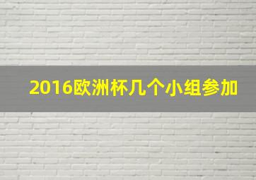 2016欧洲杯几个小组参加