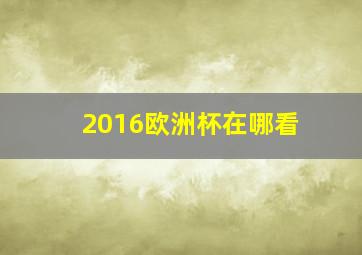 2016欧洲杯在哪看