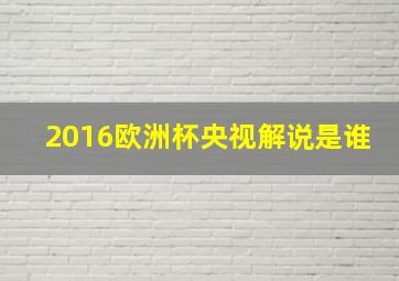 2016欧洲杯央视解说是谁