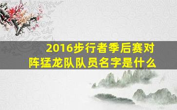 2016步行者季后赛对阵猛龙队队员名字是什么