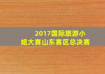 2017国际旅游小姐大赛山东赛区总决赛