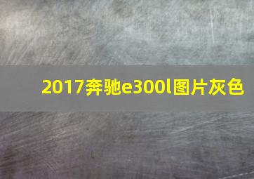 2017奔驰e300l图片灰色