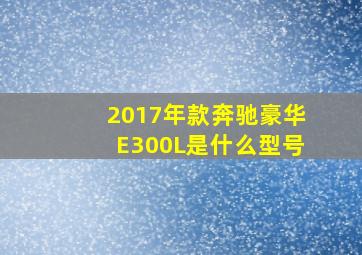 2017年款奔驰豪华E300L是什么型号