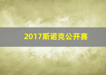 2017斯诺克公开赛