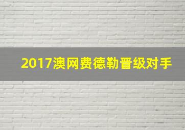 2017澳网费德勒晋级对手