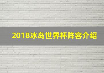 2018冰岛世界杯阵容介绍