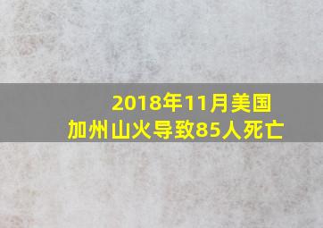 2018年11月美国加州山火导致85人死亡