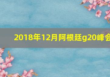 2018年12月阿根廷g20峰会