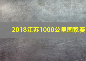 2018江苏1000公里国家赛