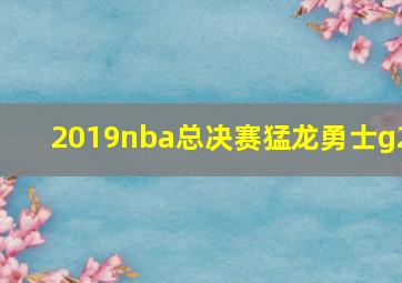 2019nba总决赛猛龙勇士g2