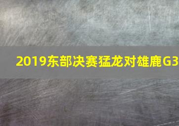 2019东部决赛猛龙对雄鹿G3