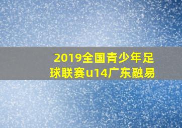 2019全国青少年足球联赛u14广东融易