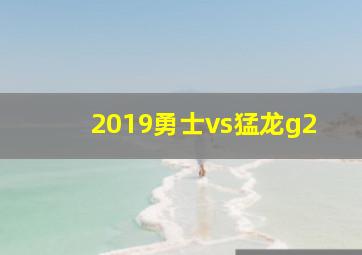 2019勇士vs猛龙g2