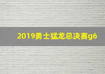 2019勇士猛龙总决赛g6