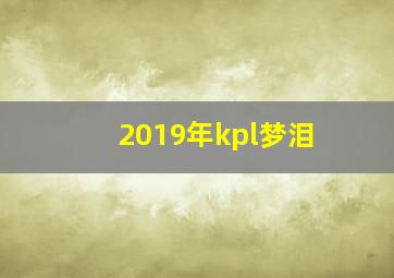 2019年kpl梦泪