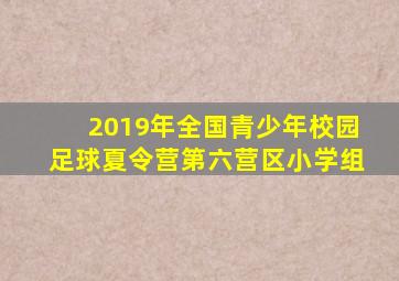 2019年全国青少年校园足球夏令营第六营区小学组