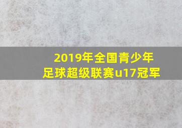 2019年全国青少年足球超级联赛u17冠军