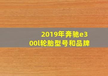 2019年奔驰e300l轮胎型号和品牌