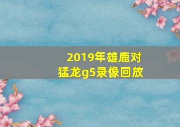 2019年雄鹿对猛龙g5录像回放