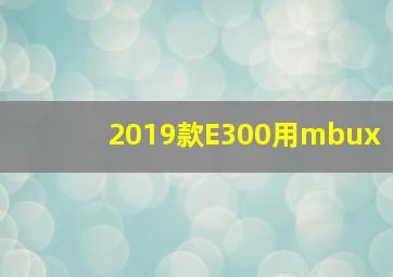 2019款E300用mbux