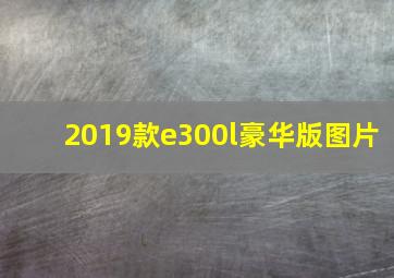 2019款e300l豪华版图片