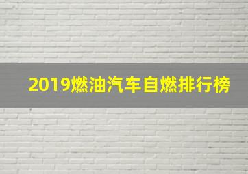 2019燃油汽车自燃排行榜