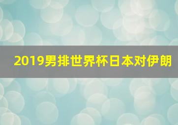 2019男排世界杯日本对伊朗