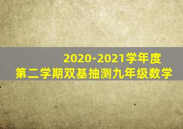 2020-2021学年度第二学期双基抽测九年级数学