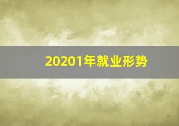 20201年就业形势