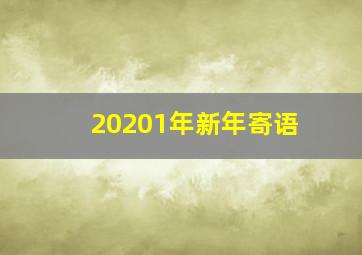 20201年新年寄语