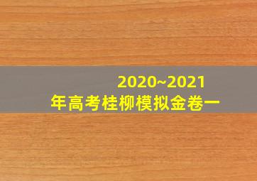 2020~2021年高考桂柳模拟金卷一