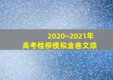 2020~2021年高考桂柳模拟金卷文综