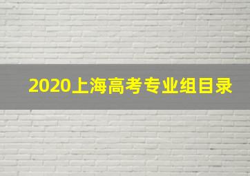 2020上海高考专业组目录