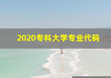 2020专科大学专业代码