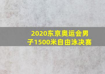 2020东京奥运会男子1500米自由泳决赛